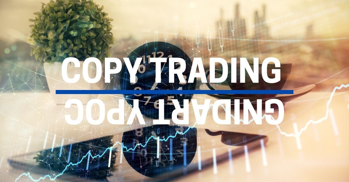 Best Forex Copy Trade